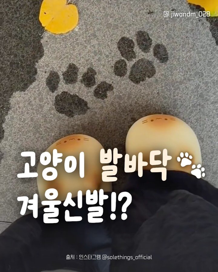 jiwondm_028 게시물 이미지: @@구운 고양이 발바닥 털 슬리퍼?!!🍞🐈🐾

@solethings_official...