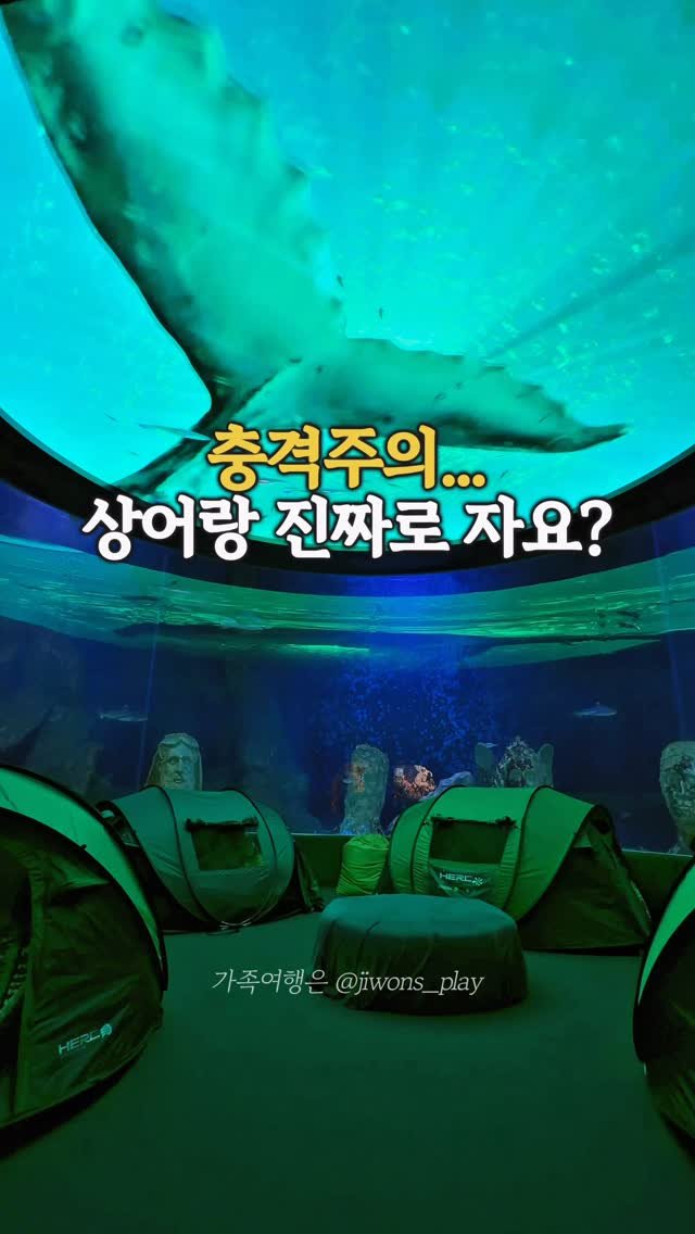 jiwons_play 게시물 이미지: 충격주의..
이런 캠프, 진짜...