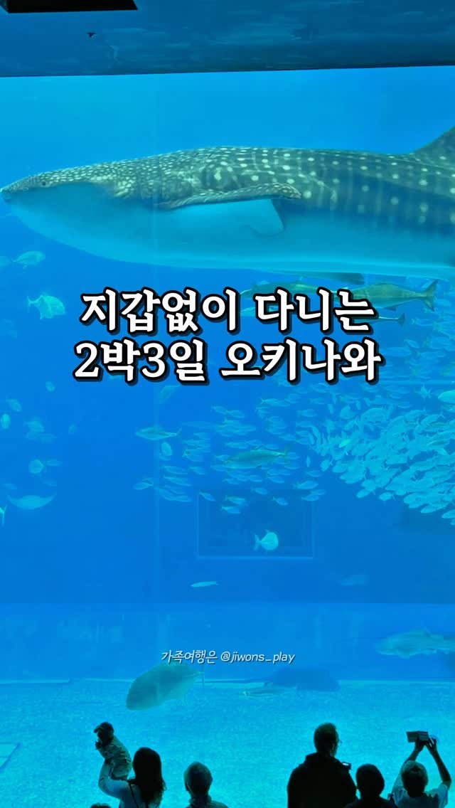 jiwons_play 게시물 이미지: 오키나와를 이렇게 여행이 가능하다니.. 😱
~5.31까지만 이 공구+구성으로...