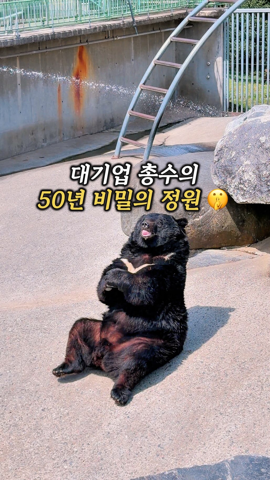 jiwons_play 게시물 이미지: 그래서 여기가 어디냐구요…? #광고
👇🏻본문 아래 정보 적어두었어요 

세종에 이런...