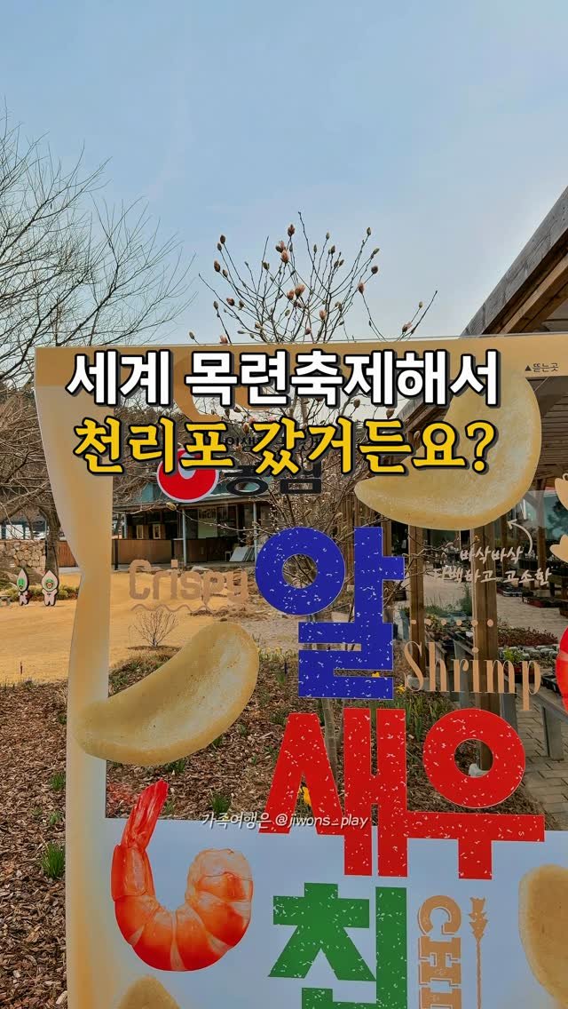 jiwons_play 게시물 이미지: 여기 세계 최다 목련축제 한다해서 
달려가 본 바다가 품고 있는 수목원 🌳
⠀
축제...