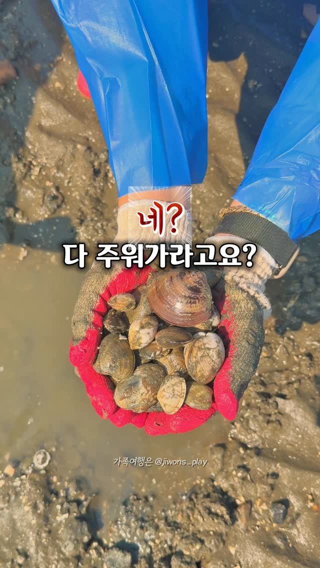 jiwons_play 게시물 이미지: 네? 캐는게 아니고 줍는다구요?🐚
(광고 ❌ #내돈내산 후기)
⠀
아..진짜...