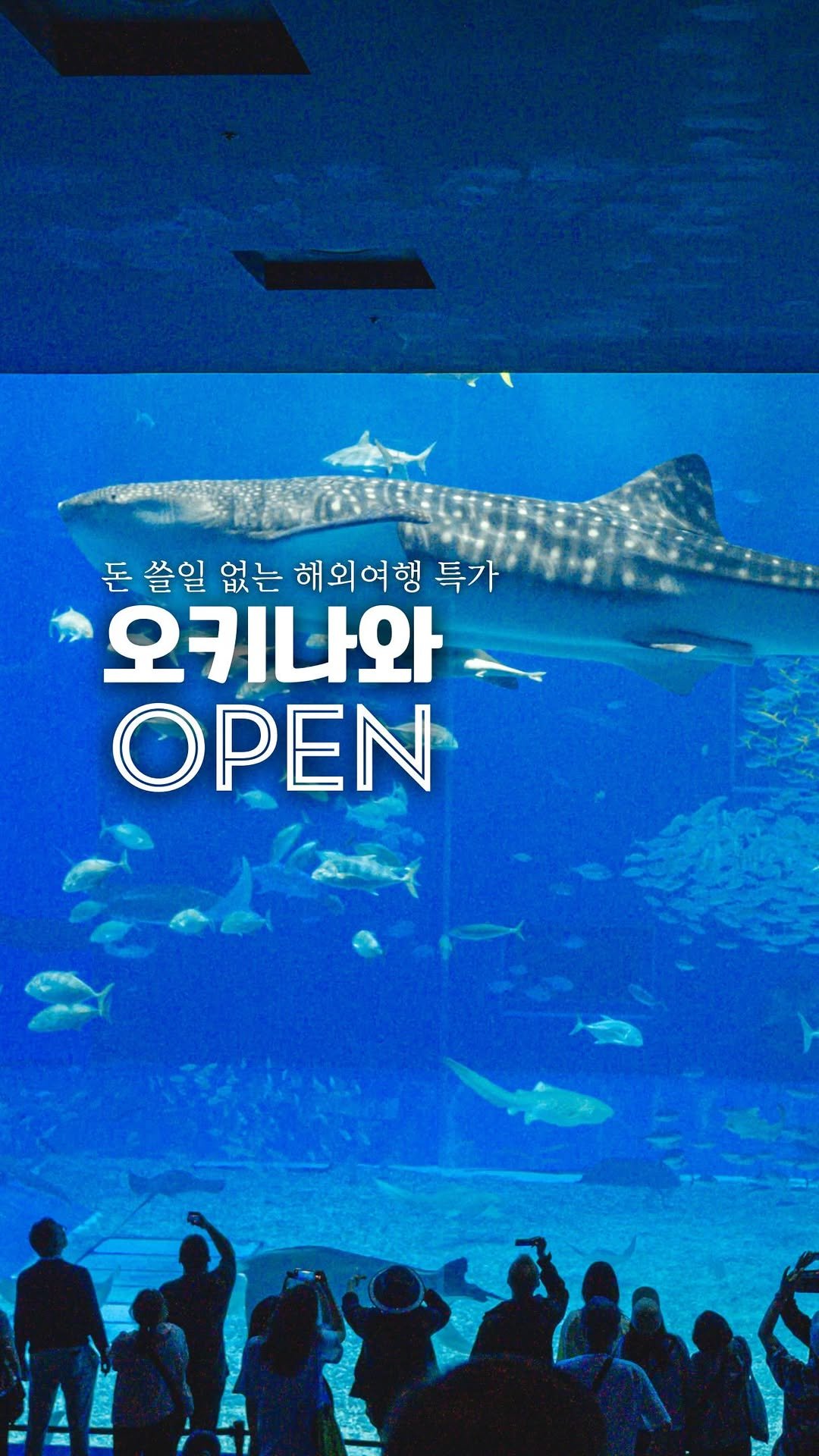 jiwons_play 게시물 이미지: 이렇게 편하게 오키나와 여행가는 공구는 
또 처음 보셨을꺼에요. 
식비까지 현금으로...
