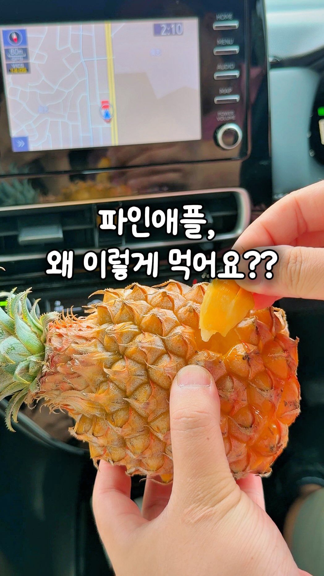 jiwons_play 게시물 이미지: 아 이거 먹겠다고 세상 얼마나 찾았는지…

오키나와에만 있다고 해서 가기전부터...