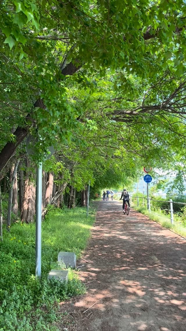 jiwoo_calli 게시물 이미지: 오전 산책🌿
단조로운 일상 속,
선명한 초록이 주는 행복:)

#중앙탑공원 
#탄금호국제조정경기장