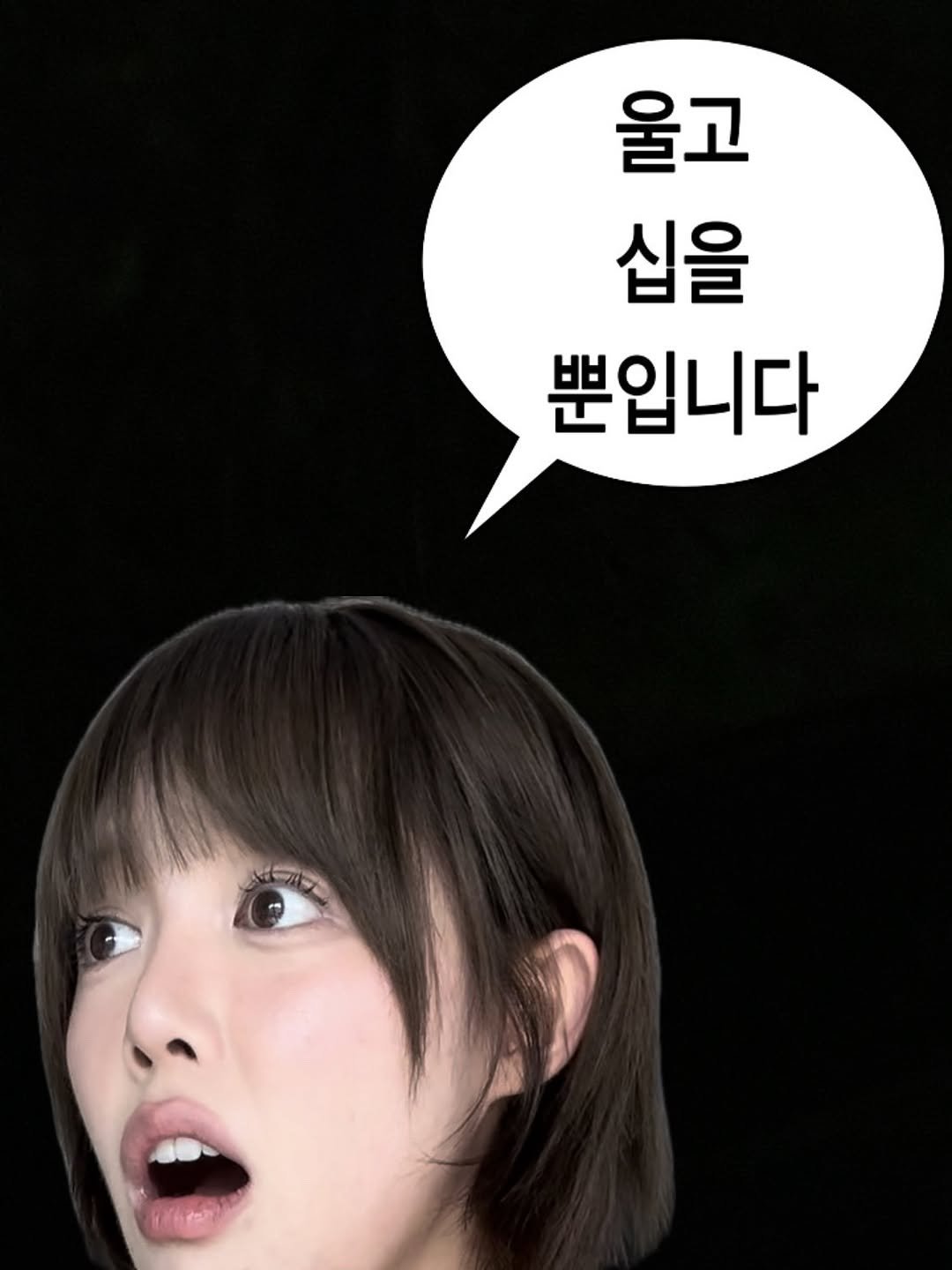 Photo by 지우렐라 on August 10, 2025. May be an image of 1 person, hair and text that says '울고 십을 뿐입니다'.