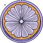 pomela.ceramica 프로필 사진