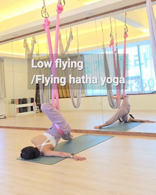 jiyayoga 게시물 이미지: 다리부터 팔까지 전신을 부드럽게 풀어내고,
해먹의 지지와 견인을 활용해
역자세...