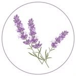 casalilas_mesaposta 프로필 사진