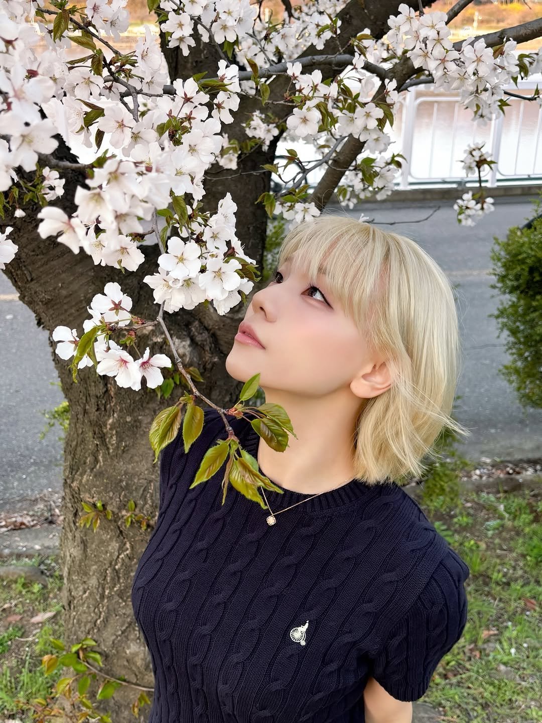 jjaely._.v 게시물 이미지: 나 꽃 구경 너무 늦은 건 아니지? 그칭??