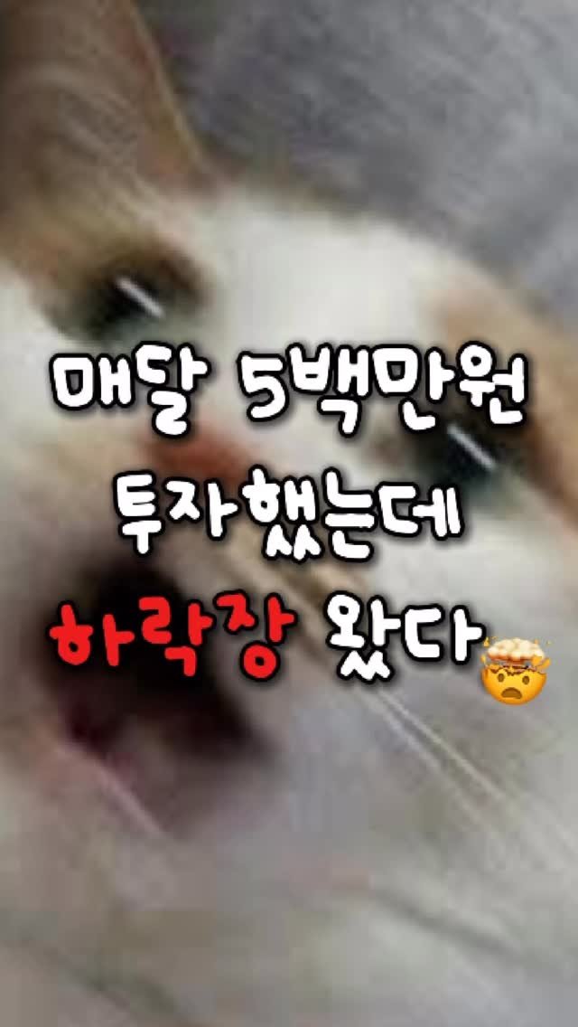 jjan_bubu 게시물 이미지: 📉 하락장 와서 피눈물 흘릴거라고!?

네.. 맞아요.. 
올해 첫 마이너스를...