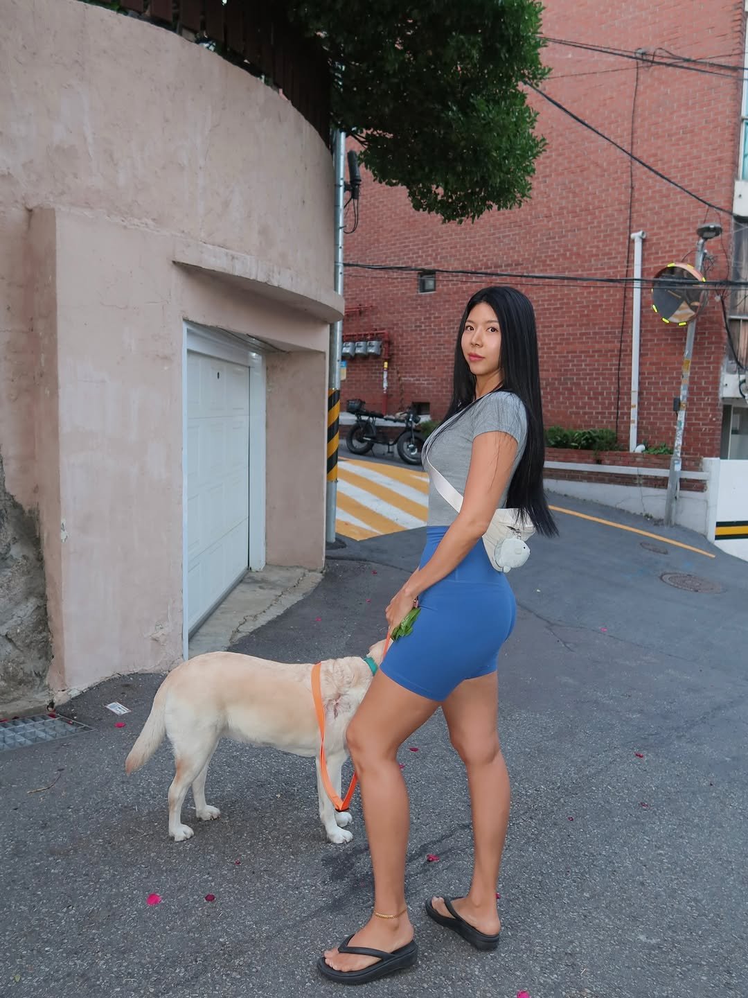 Photo by 제이제이 | 박지은 on June 04, 2025. May be an image of 1 person, collie, activewear, shorts and text.