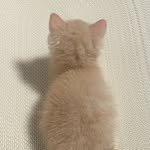 ranju_nn 프로필 사진