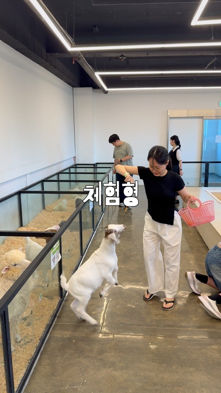 jjinsae_couple 게시물 이미지: 사실상 무료인 실내 동물원?! *광고

매번 멀리서 보기만 했던 동물들을...