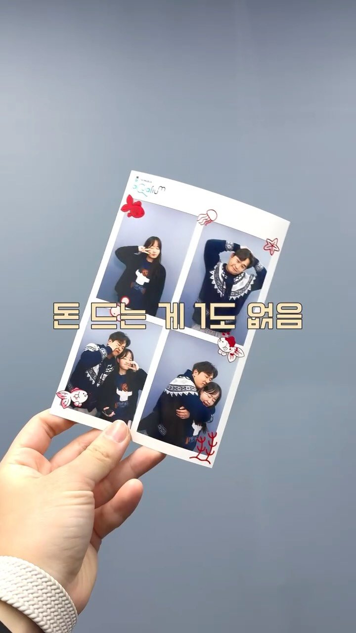 jjinsae_couple 게시물 이미지: 무료 아쿠아리움 야르 ~! 🐟

아쿠아리움 입장료가 무료인 곳 아시나요?!
대형...