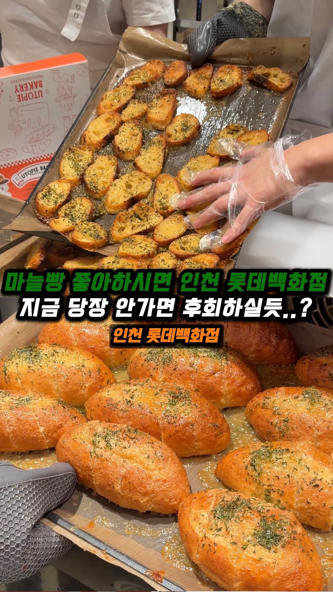 jjong_mattang 게시물 이미지: 마늘빵 좋아하시면 이 영상 지나치면 후회하실겁니다🫢

🔎인천 롯데백화점에 팝업으로...