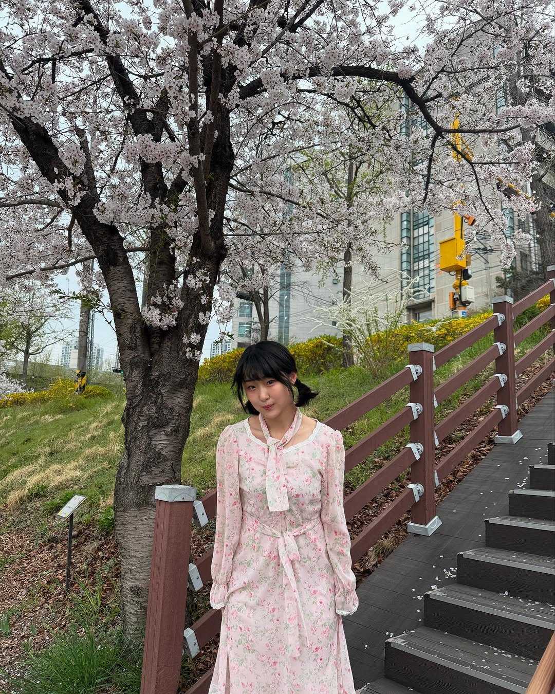 Photo by 쭈루리 on April 10, 2025. May be an image of 2 people, dress, sundress, stone-fruit tree and text.