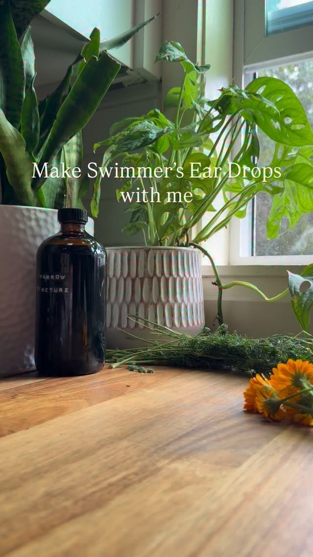 jkb.journal 게시물 이미지: 🌿SAVE THIS RECIPE🌿 💦Swimmer’s Ear Herbal...