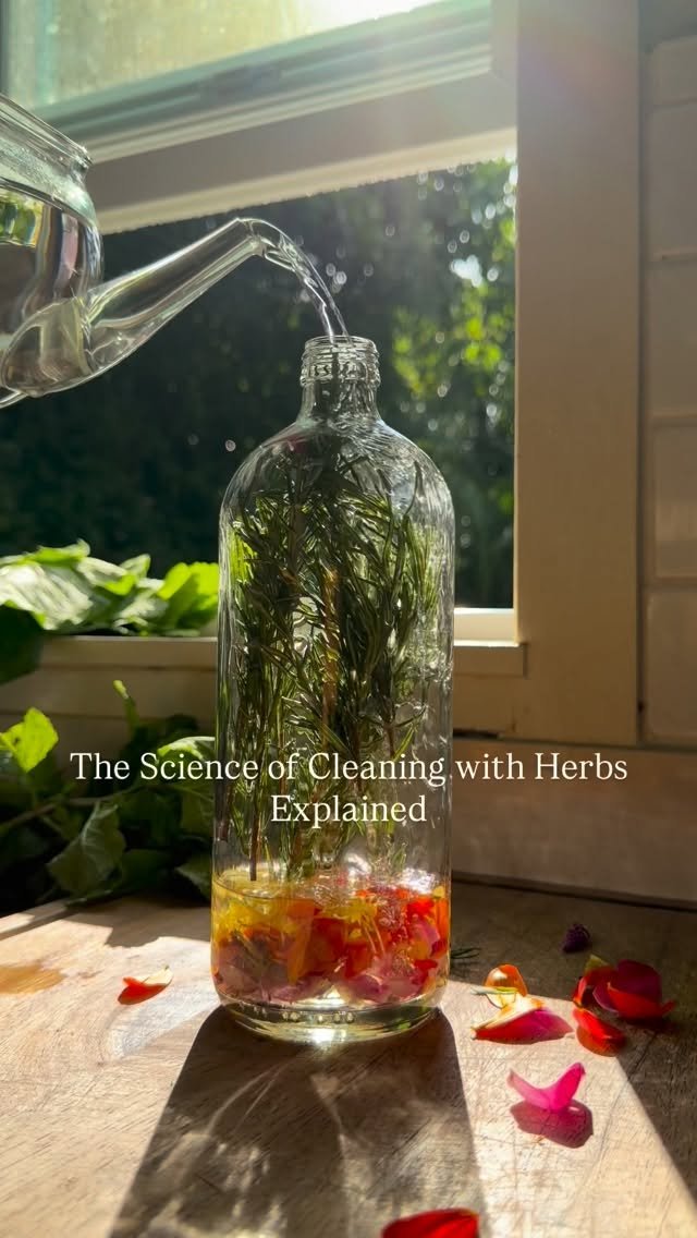 jkb.journal 게시물 이미지: Cleaning with herbs isn’t just nostalgic or...
