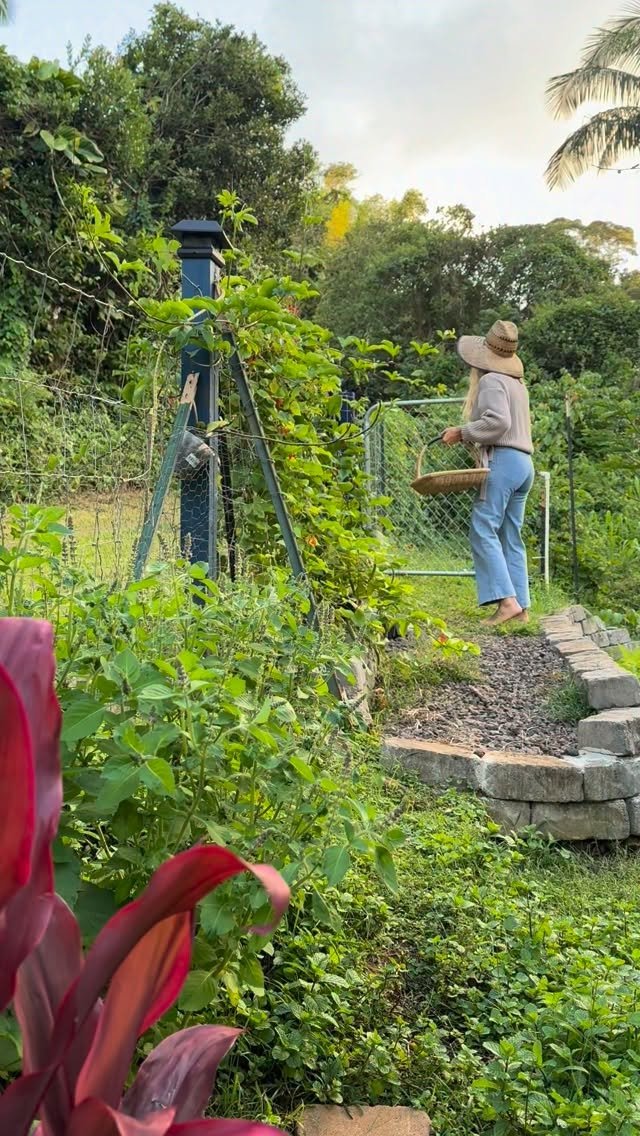 jkb.journal 게시물 이미지: There’s something happening right now… a quiet...