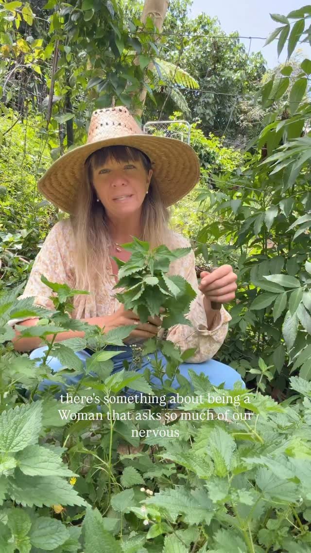 jkb.journal 게시물 이미지: This is the last mentorship of the year,...