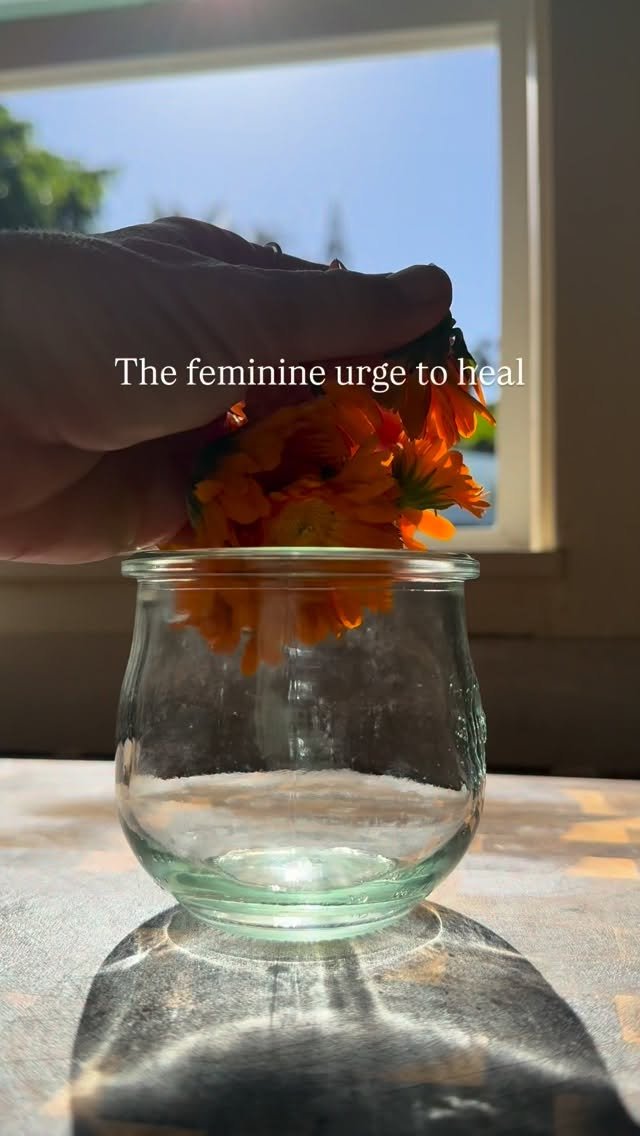 jkb.journal 게시물 이미지: If you have always wanted to learn kitchen...