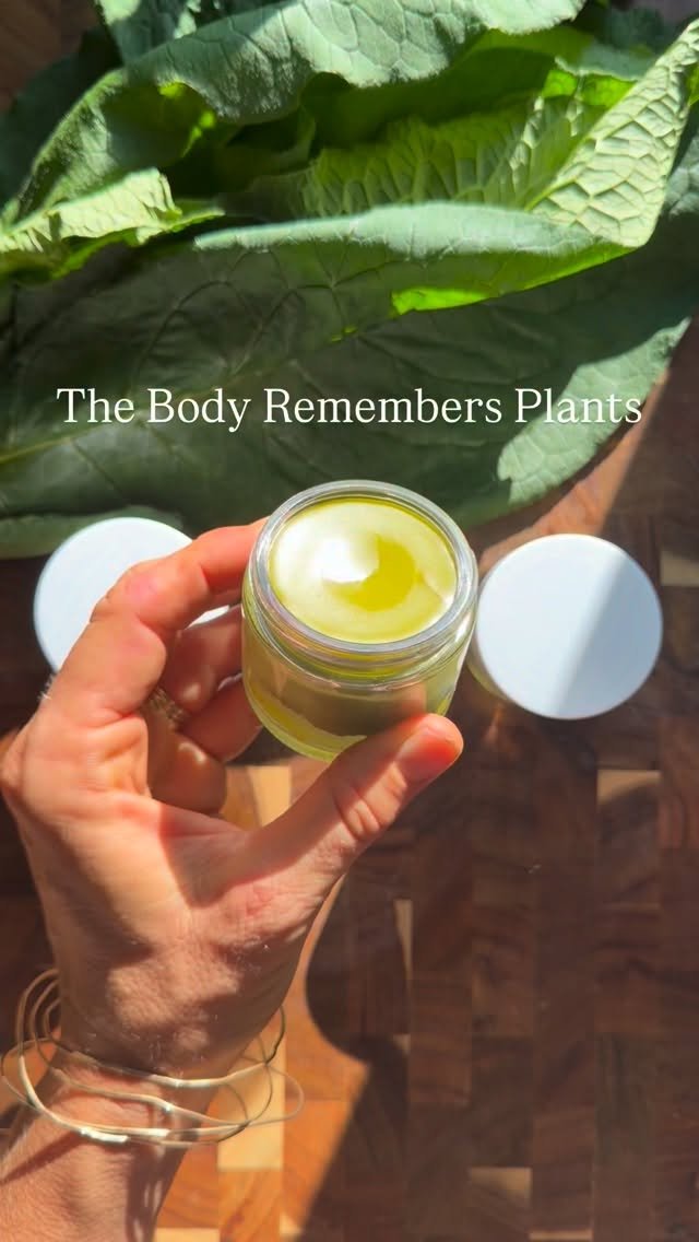 jkb.journal 게시물 이미지: Working with plants reconnects people to...