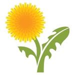 learningherbs 프로필 사진