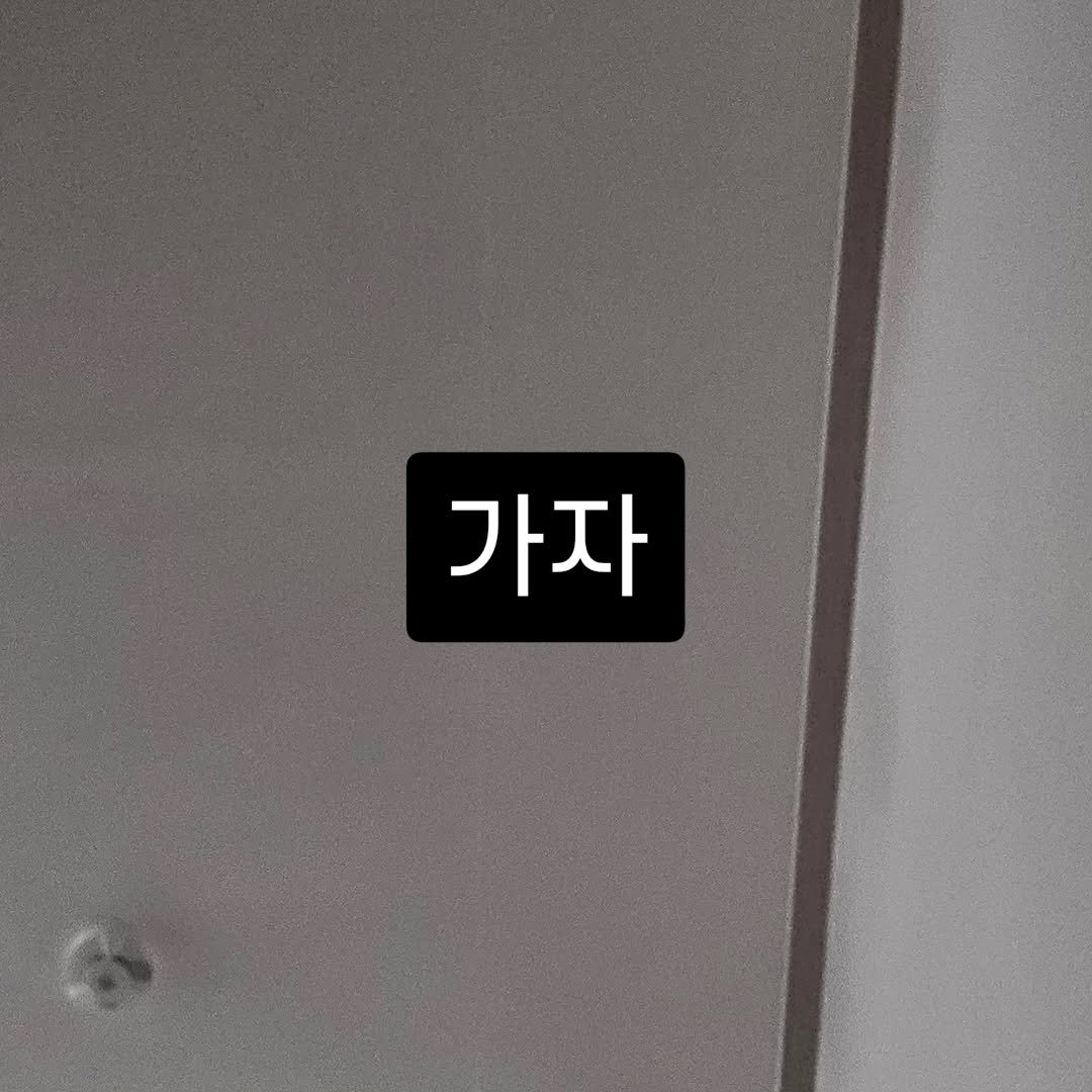 Photo by 박정목 on February 13, 2026. May be an image of pie, baby's-breath and text that says '가자'.
