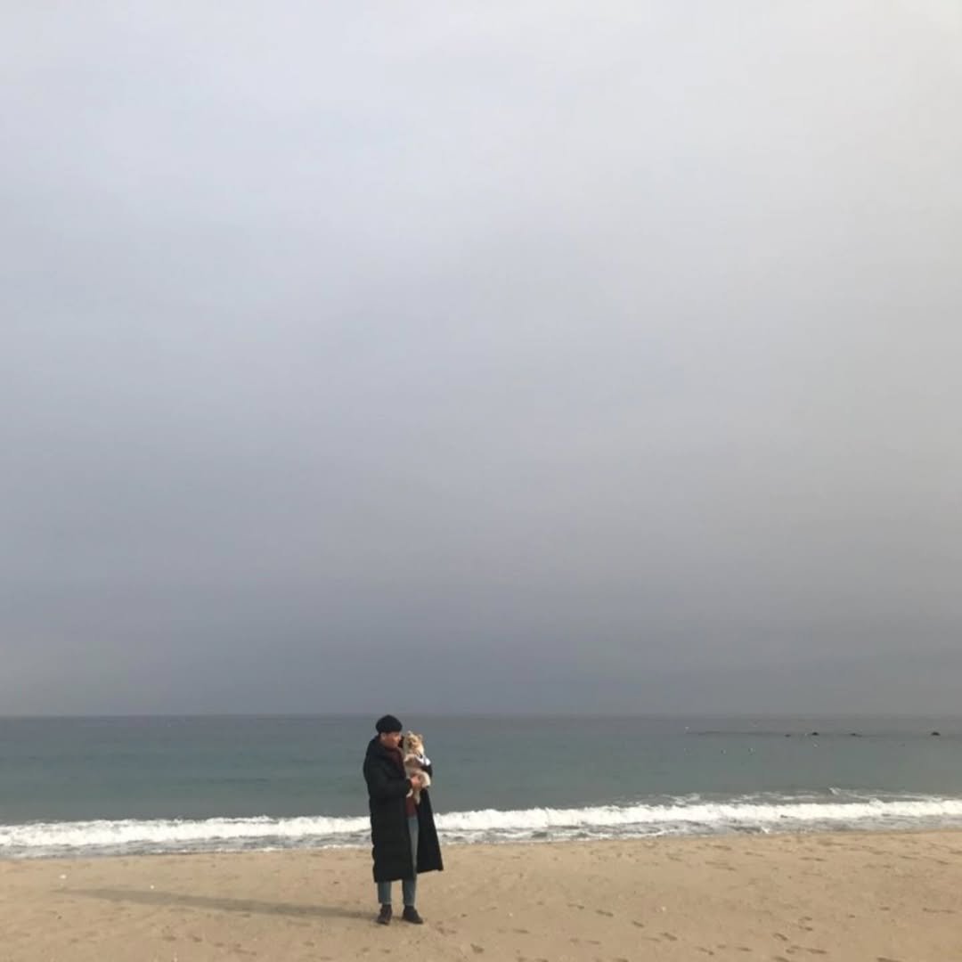 Photo by 박정목 on January 07, 2025.