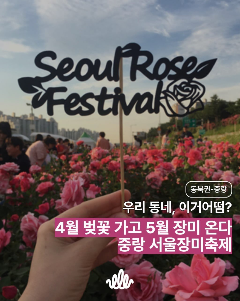 jnfac_official 게시물 이미지: 🌸4월 벚꽃 가고 5월 장미 온다 중랑 서울장미축제🌹
📍[동북권-중랑] 우리 동네...