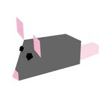 jngnkim 인스타그램 프로필 사진