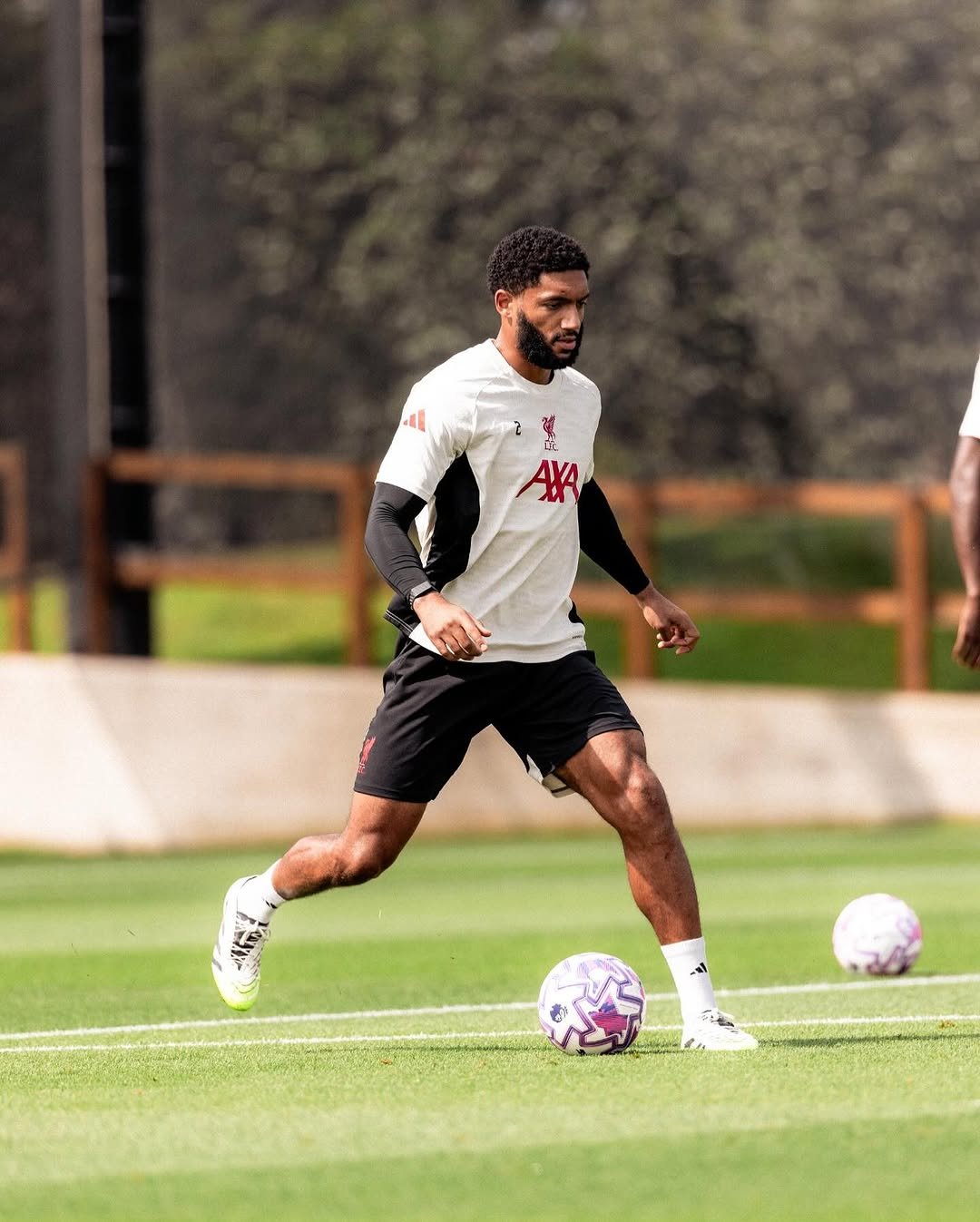 Photo by Joe Gomez on August 13, 2025.