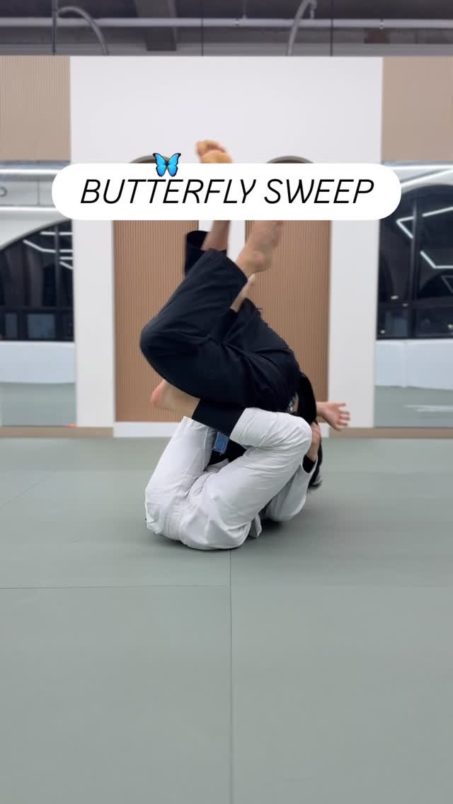john.frankl.laveniche 게시물 이미지: #BUTTERFLYGUARD
#🥋 #주짓수 #柔術 #JiuJitsu #BJJ