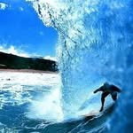 surferwaynekelly 프로필 사진
