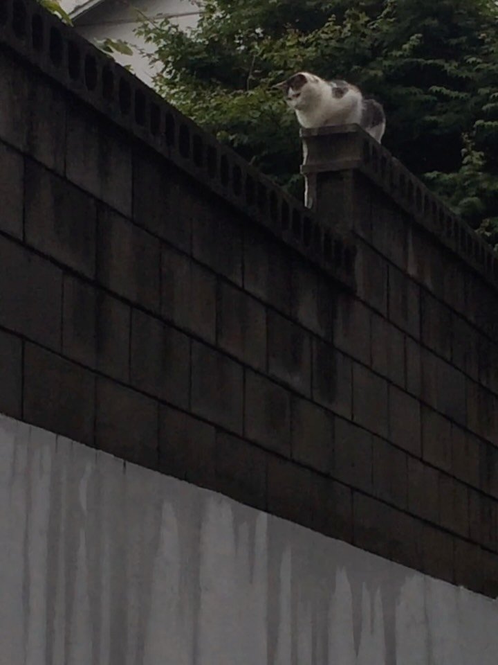 johnnyjsuh 게시물 이미지: 