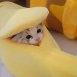 na_nyang_i 프로필 사진