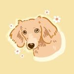tumugi_japanfood 프로필 사진