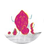 kinderland_bandal 프로필 사진