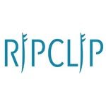ripclipsurf 프로필 사진
