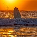 goofysurfista 프로필 사진