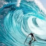 surfingvideoseveryday 프로필 사진