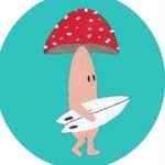gyllysurfschool 프로필 사진