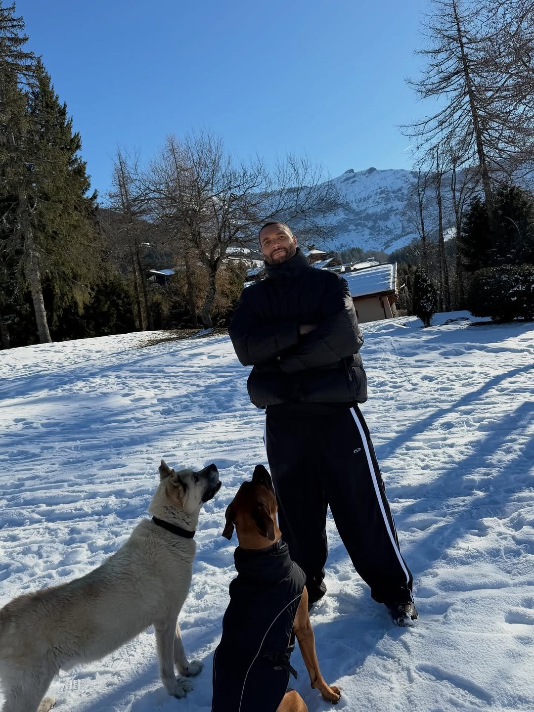 Photo by Jonathan Tah on December 25, 2025. May be an image of standing, dog, snow and text.