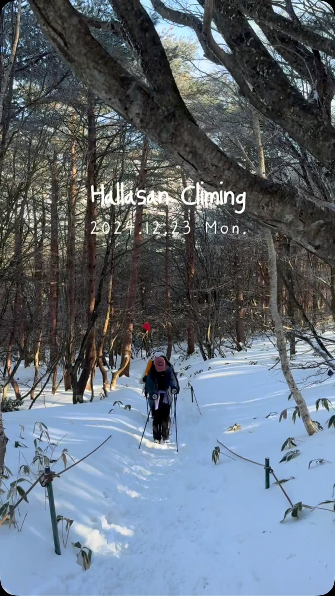 jong__e 게시물 이미지: 하늘과 가장 가까운 한라산 백록담🗻