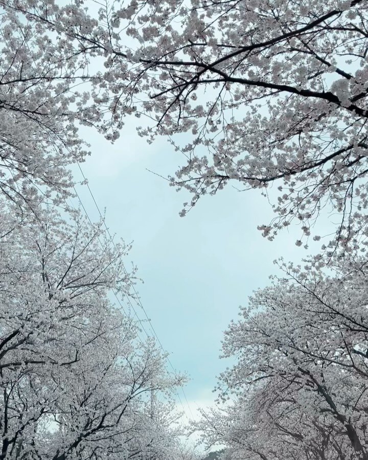 jong__e 게시물 이미지: 서로
사랑하면
언제라도
봄