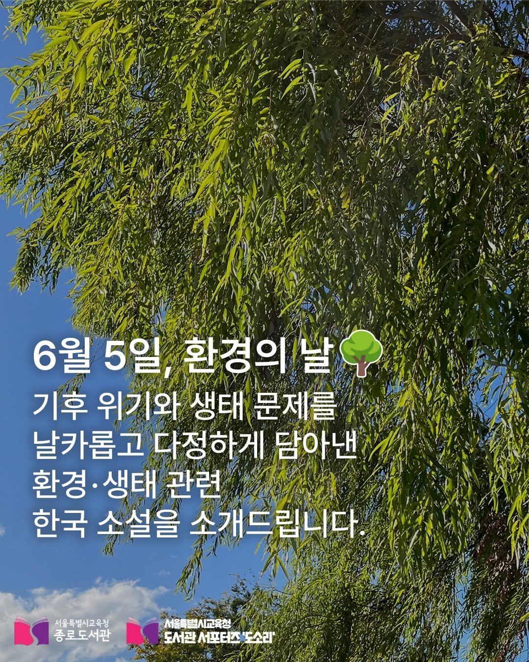 jongno_library 게시물 이미지: .
🌳 환경의 날을 맞아,
지금 우리가 살아가는 지구🌏와
그 안의 이야기를 담은...