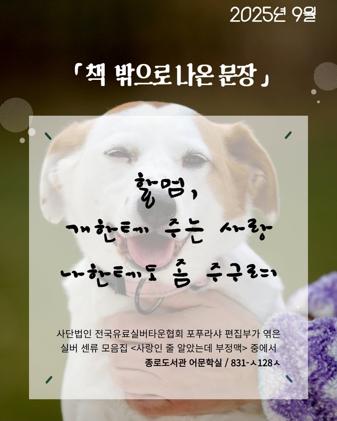 Photo by 서울특별시교육청 종로도서관 on August 26, 2025. May be an image of ‎text that says '‎2025년 9일 『책 밖으로 밖으로나은문장」 나온 문장] 출염, 개한테주는새랑 かのもい 개한테기 주는 나한태요 나한례도좀주구럽의 ل 충구민 사단법인 전국유료실버타운협회 포푸라샤 편집부가 엮은 실버 센류 모음집 <사랑인 줄 알았는데 부정맥> 중에서 종로도서관 어문학실/ 831-시128ㅅ‎'‎.