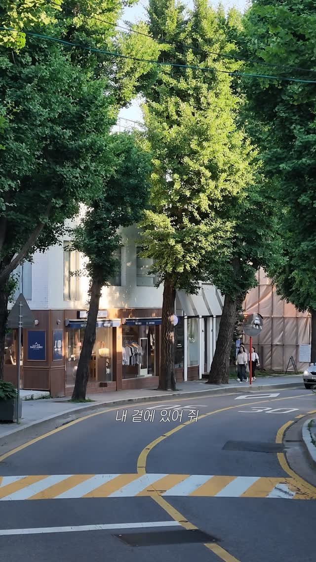 jongnogu_official 게시물 이미지: 짙어지는 초록이 가장 아름다운 계절.

푸르른 나무들이 길을 따라 이어진...