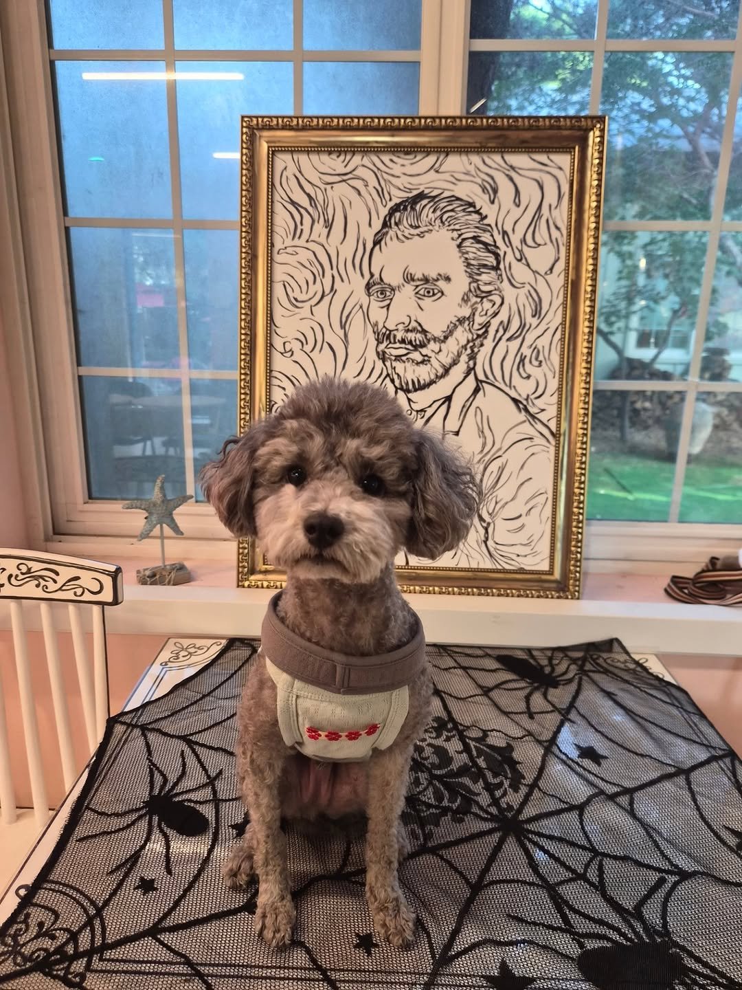 Photo shared by 방송인 이종우 ᴊᴏɴɢ ᴡᴏᴏ on October 28, 2025 tagging @leetoby_. May be an image of Bedlington terrier and text.